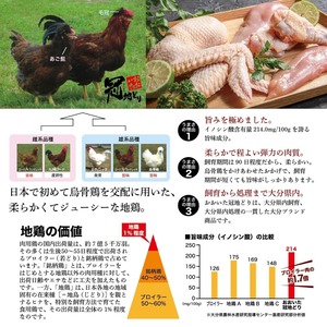 ■おおいた冠地どりコールドハム（もも肉2袋セット）