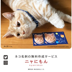 愛猫ちゃん掲載権（ネコ名刺データ作成サービス『ニャにもん』サイトのメインビジュアルに最低1年以上）