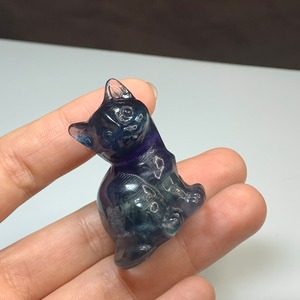 10.ちょこんと座っている可愛いフローライトねこ