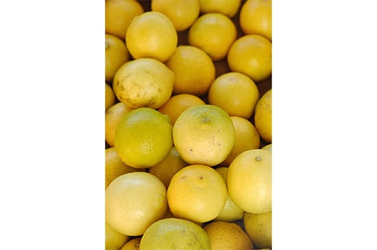 【国産無農薬】完熟ライム・500g