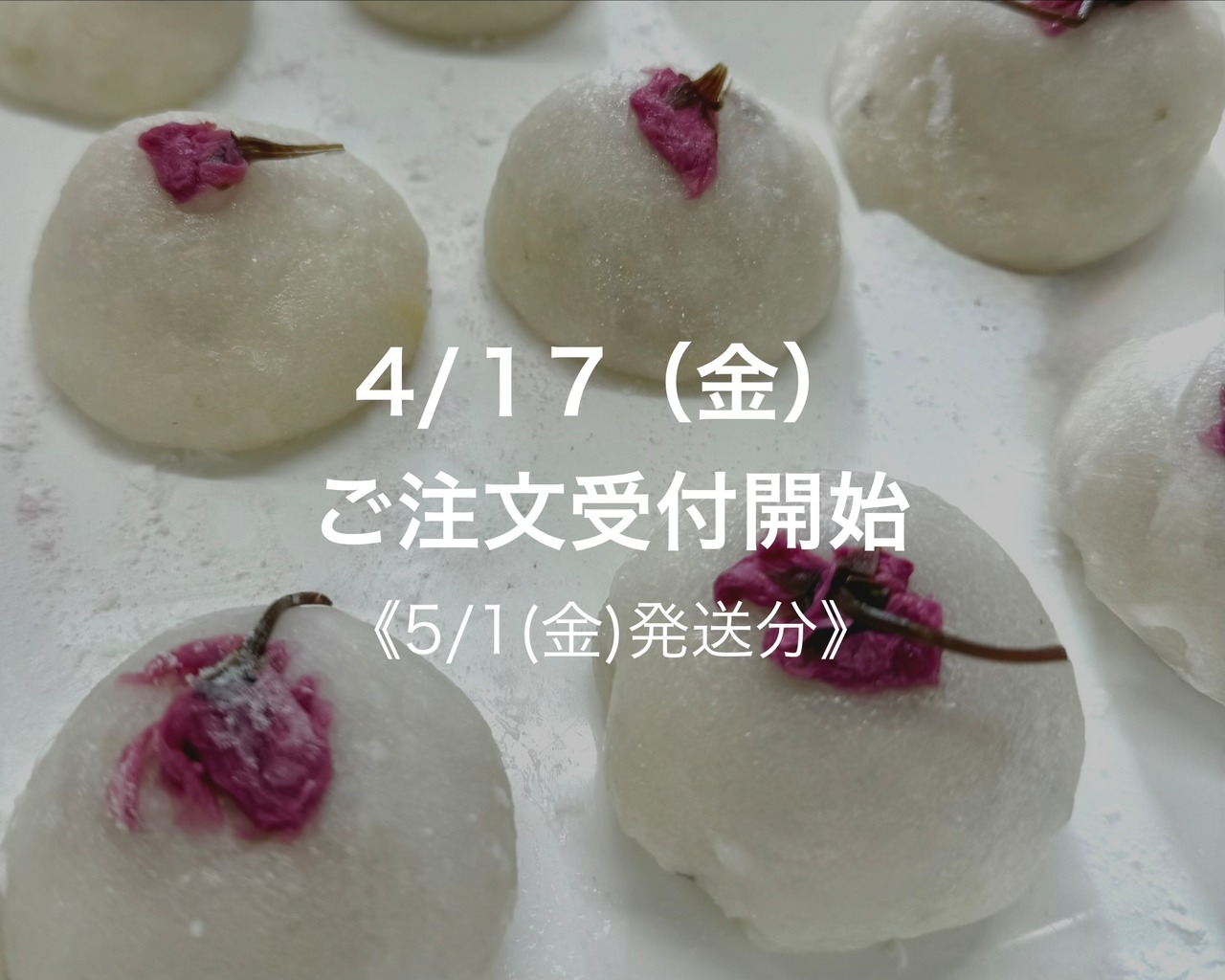 *春限定*まんまるさくら餅【5月22日(金)発送】