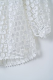 Organdie embroidery blouse