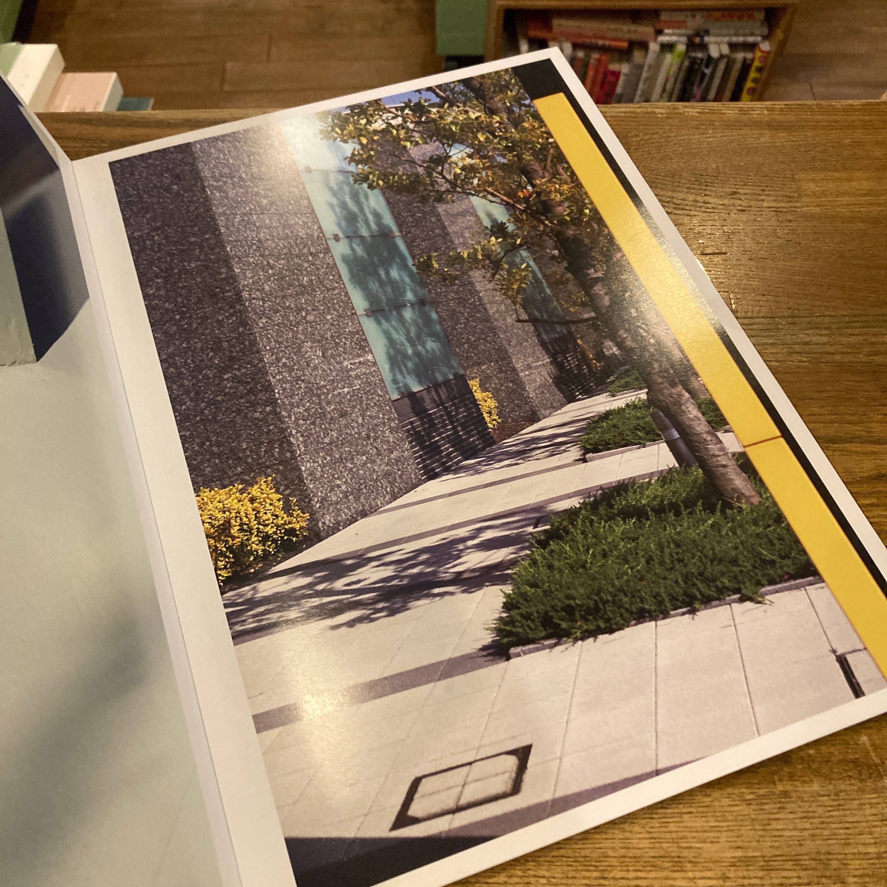 TYM:GI THIS YEAR'S MODEL 伊丹豪写真集 | 百年