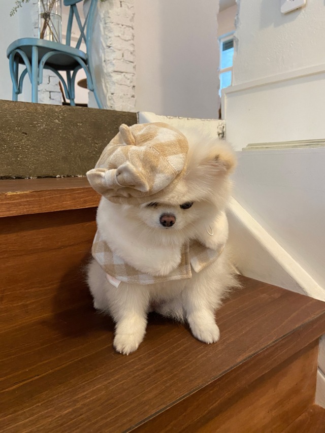 即納【Hi Yeboo】Classic Check Cape Acc  (ベレー帽)