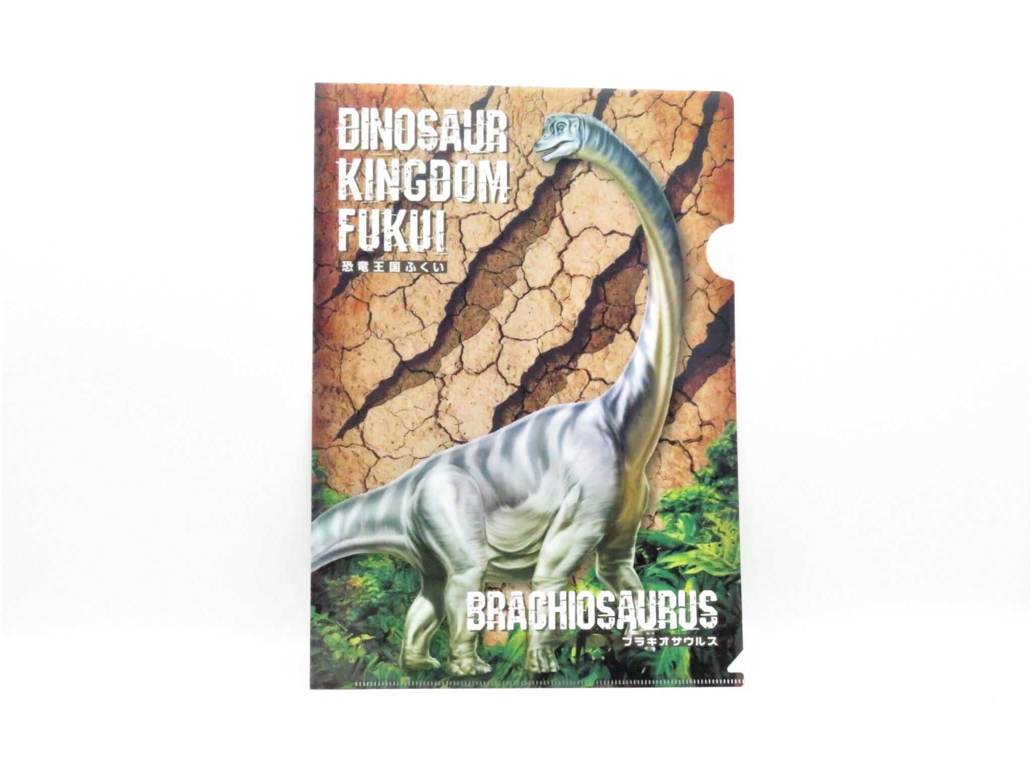 恐竜クリアファイル6枚セット | 福井勝山お土産オンラインショップ