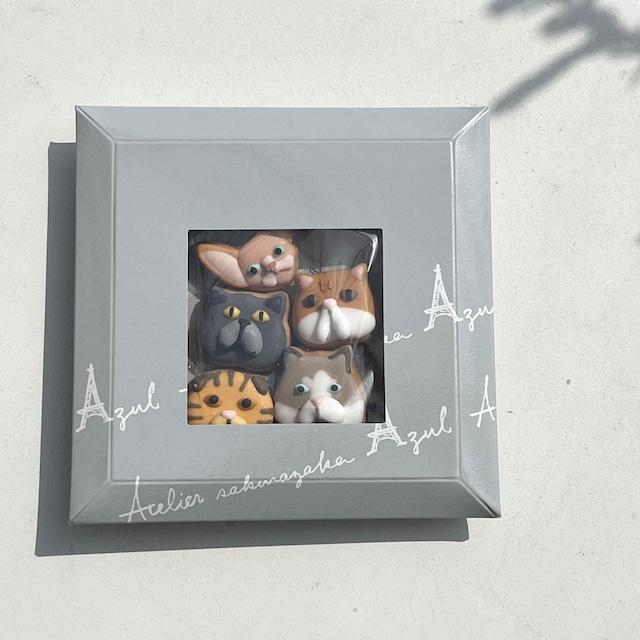 【sakurazaka.azul】ギフトbox 　 cats　 桜坂AZUL