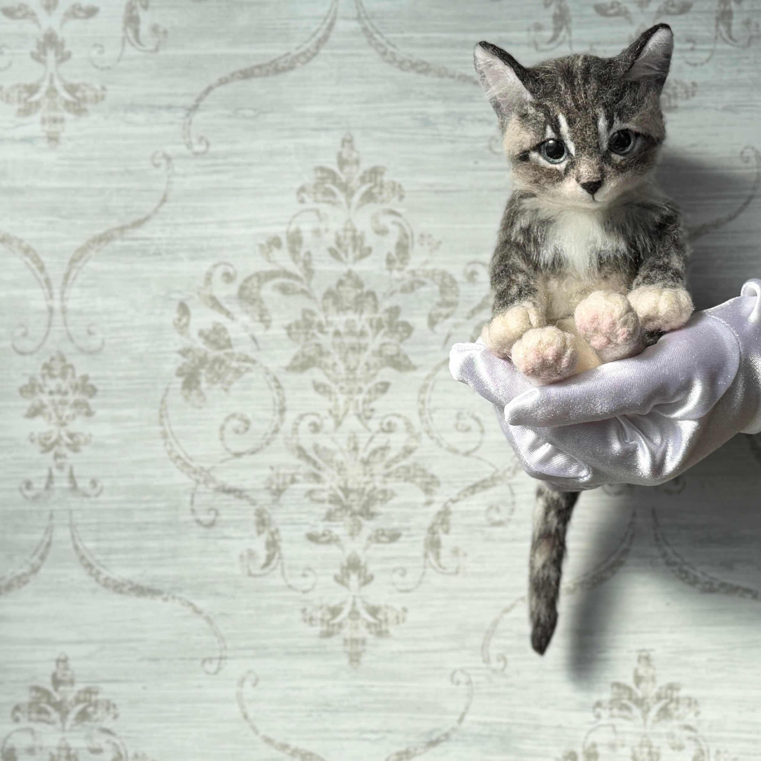 サバトラの仔ネコ 26F2SF 《にゃぴーし2026 猫の日キャンペーン商品