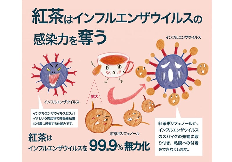 【マンスリー】有機レモングラス 紅茶ブレンド（3g×30袋）