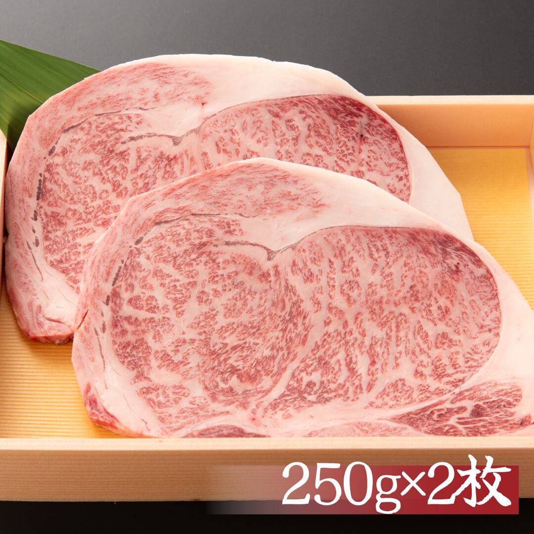 鹿児島・宮崎県産　黒毛和牛A5ランク　ロース【ステーキ用】 500g(250g×2枚)　贈答　お歳暮　プレゼントに！