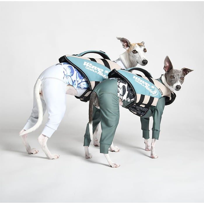 GEWALK ウェーブライダー エコ ライフジャケット 【Sサイズ】 犬用 高