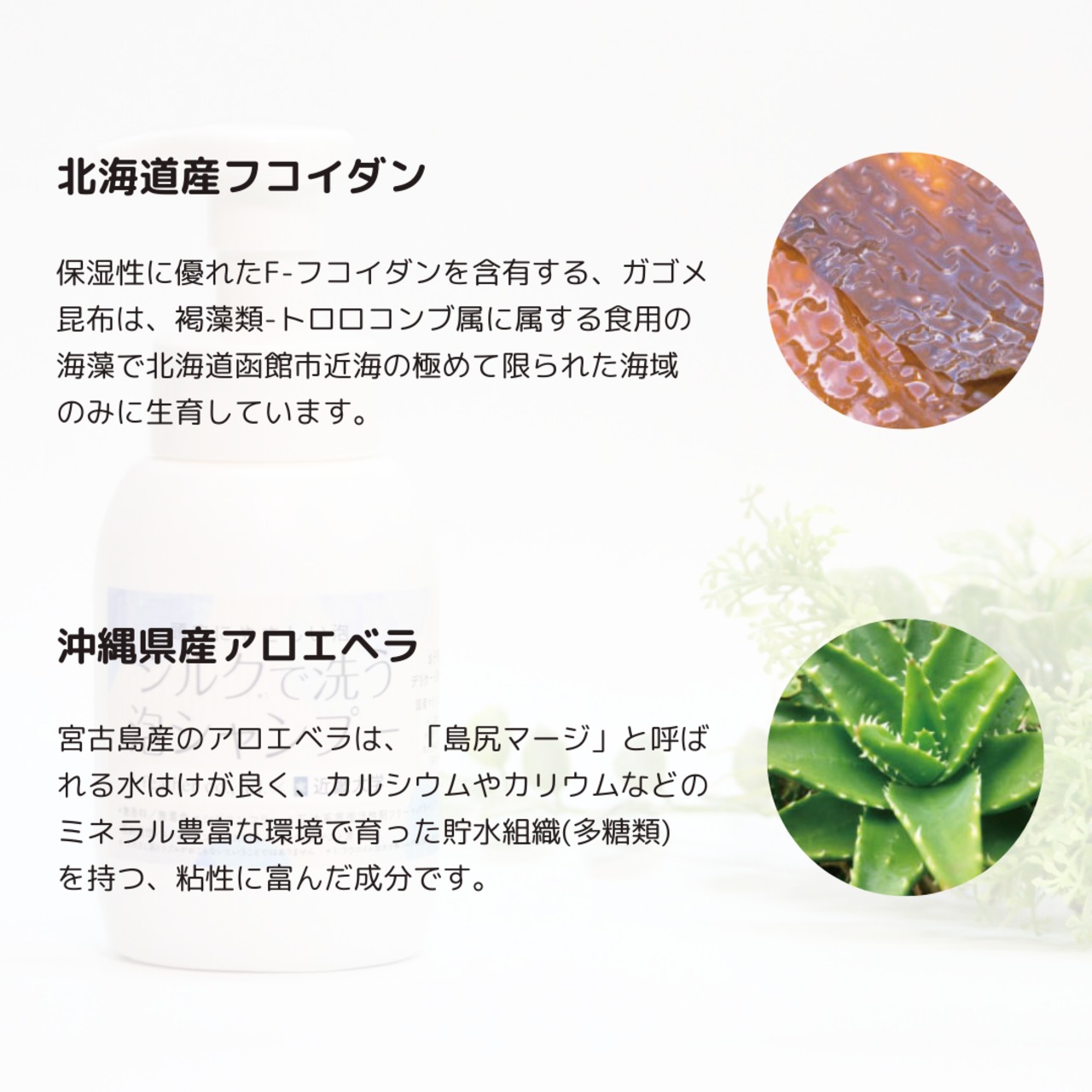 シルクで洗う泡シャンプー｜近畿大学発 水溶性マリンコラーゲン配合 医療用スカルプケア 敏感肌・脱毛中もやさしく洗える低刺激シャンプー
