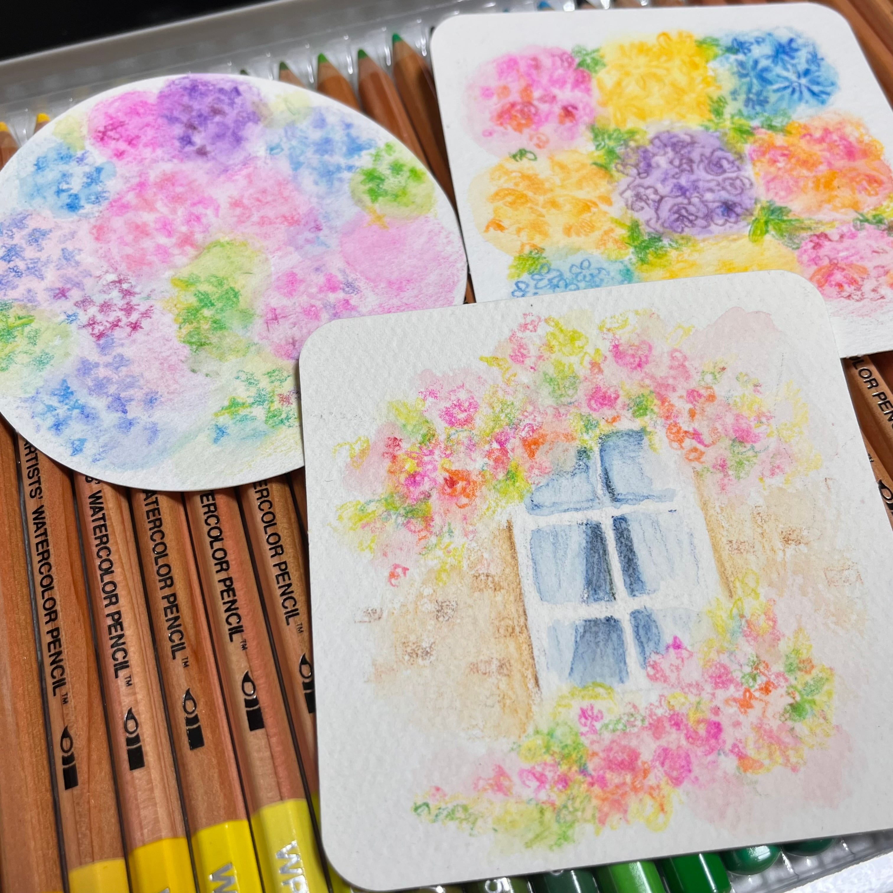 水彩色鉛筆画 Ｆ３号　『星空のマリア』 エノモト.アマネ作 2840b873dfa27128a1769764b5a985