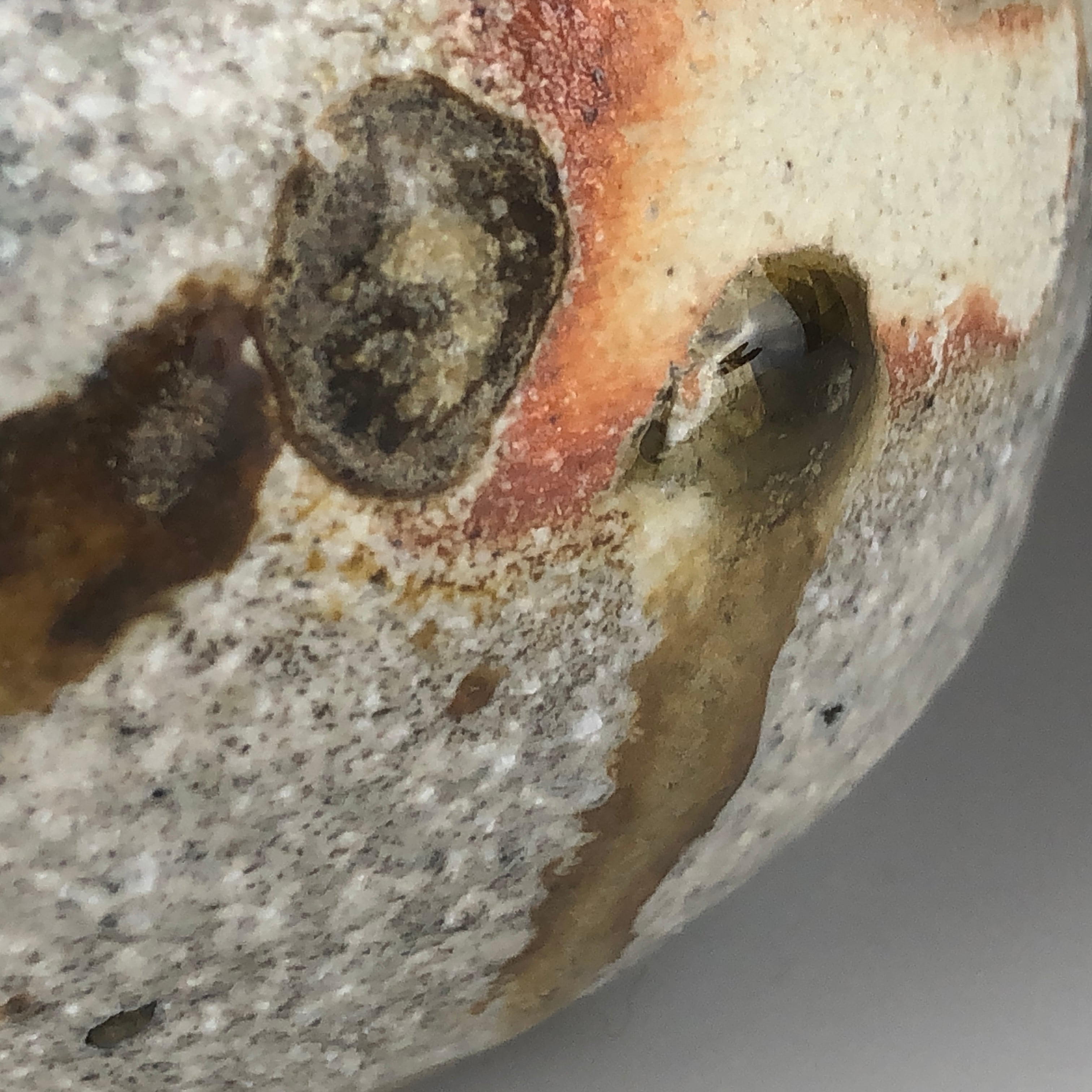 篠原 希 - 信楽窯変花入 【共箱】 | EspritNouveauGallery