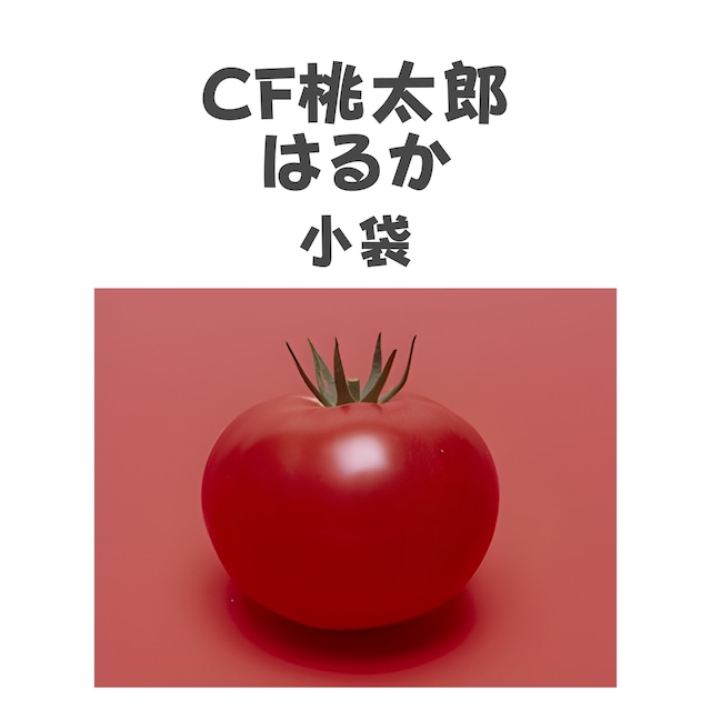 CF桃太郎はるか　トマト種子・小袋
