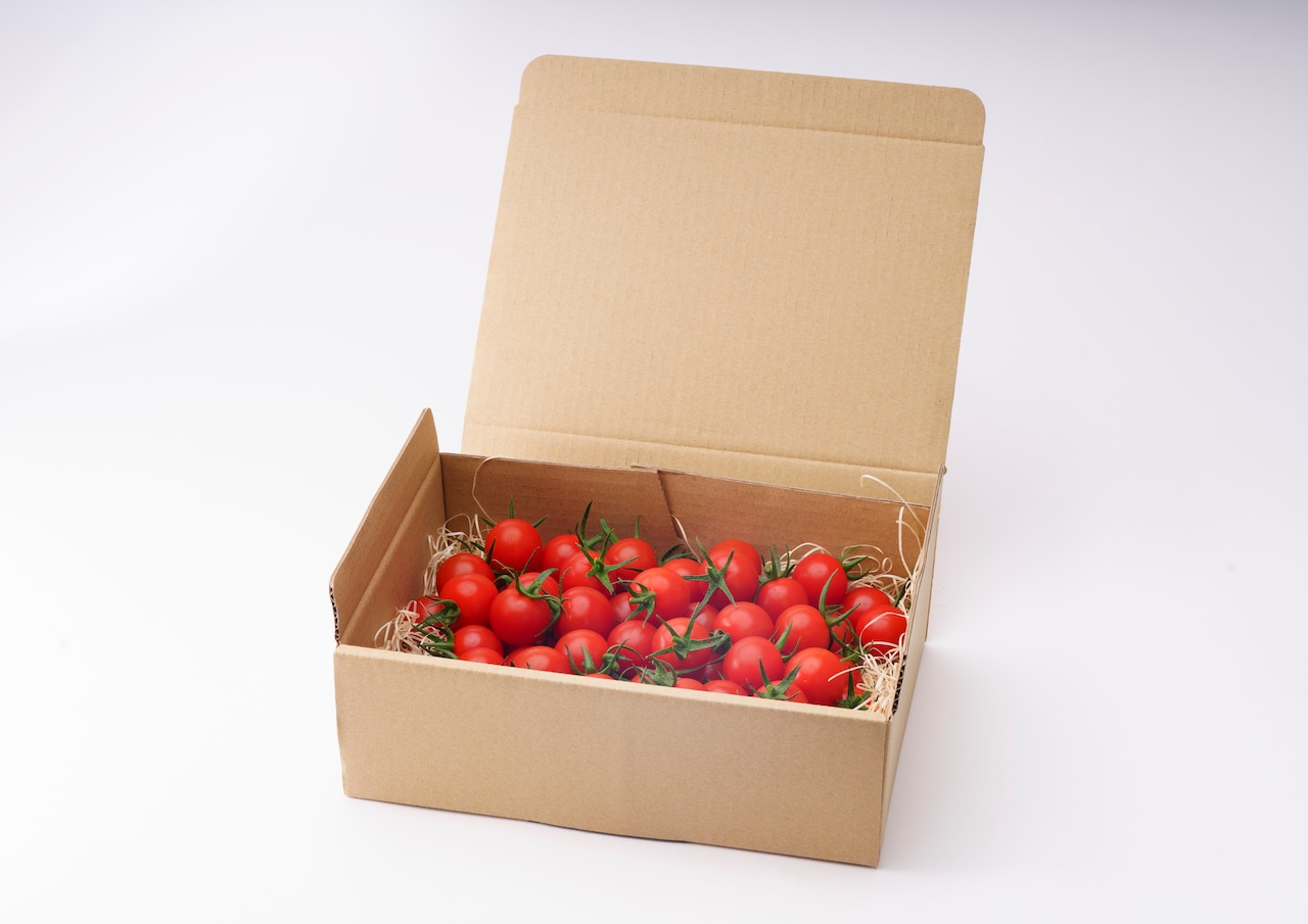 ほおばるトマト「うまみ」1kg