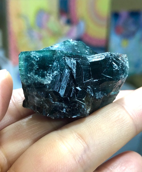 全ての好転、魔法が作動する深い森のグリーン