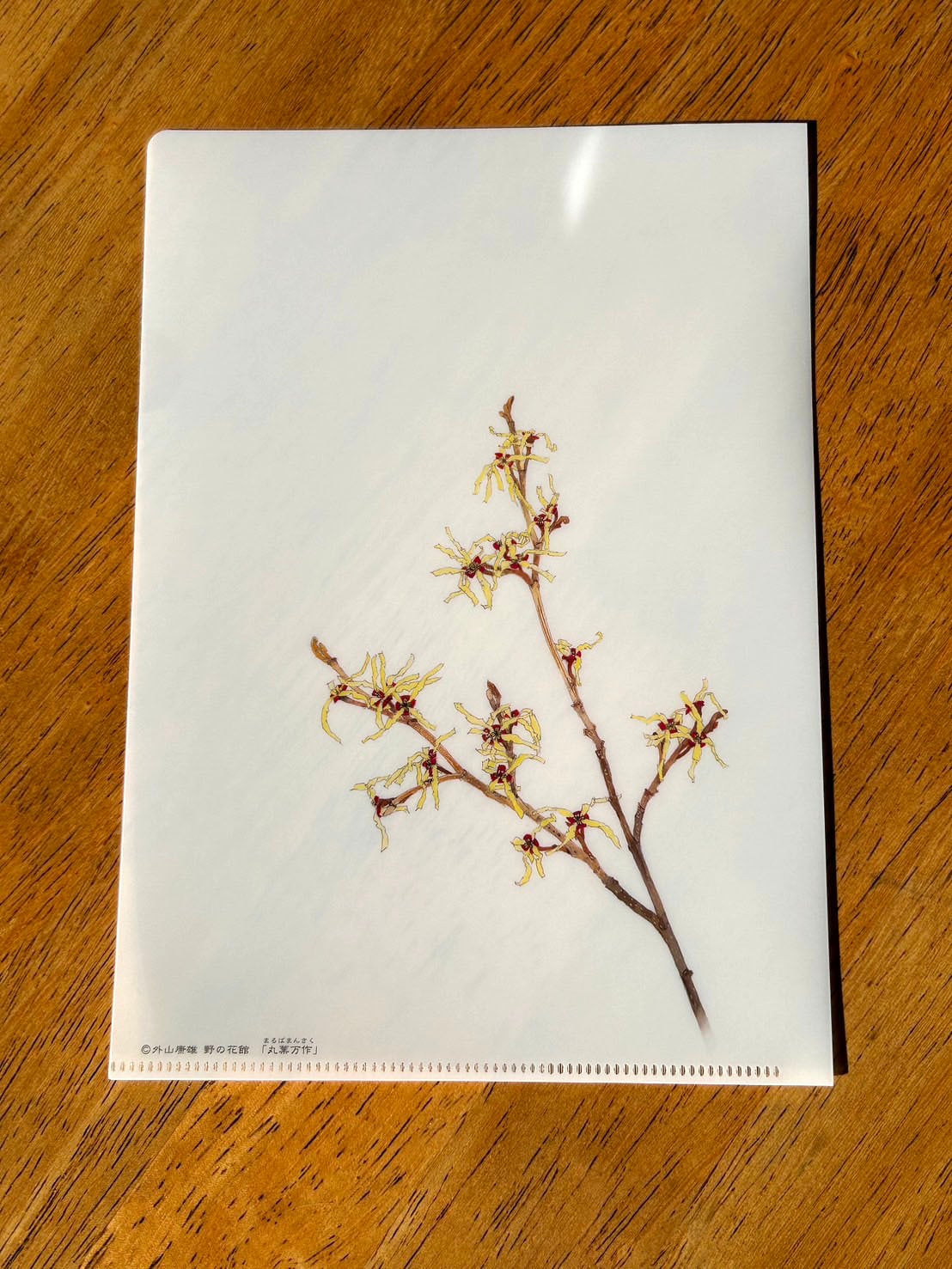 外山康雄 野の花館 オンラインショップ