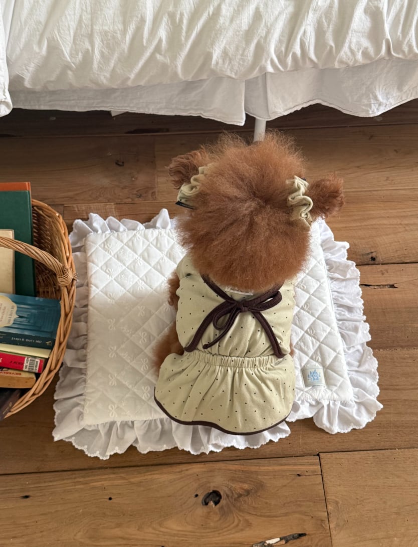 Ops+Bolero/予約【tak!tak!tak!tak!】Olive (Mocha dot cardigan set)