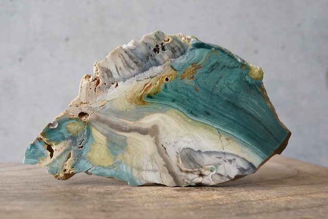 ゲイリーグリーン・ジャスパー (ペトリファイド・ボグウッド)　Gary Green Jasper 752