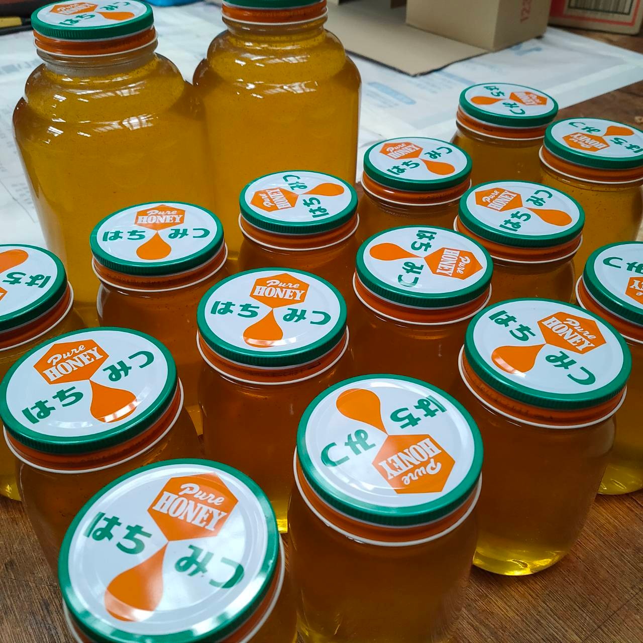 【予約 小学生用】あんどう養蜂　まるごと養蜂体験（約3時間）蜂蜜プレゼント ※2025/10/1〜