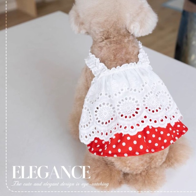 赤い水玉ドットのワンピース　犬服　00819