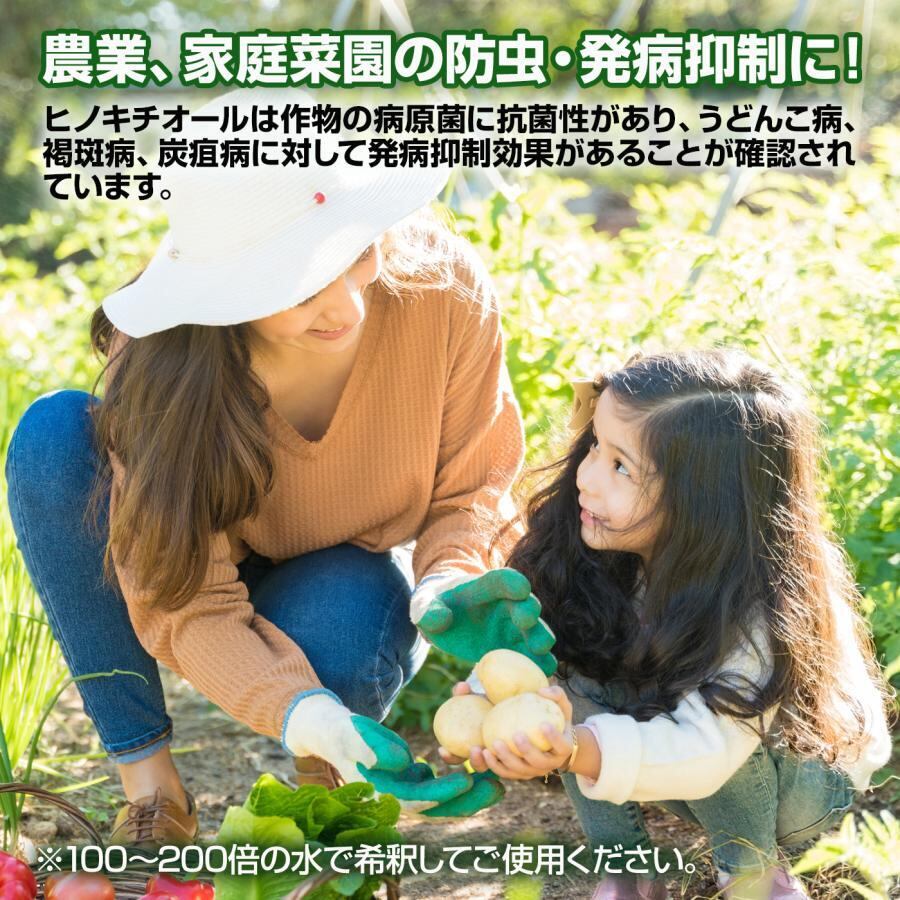 べニーズ ヒバの恵みヒノキチオール2L 檜 桧 抗菌 除菌 防虫 防ダニ