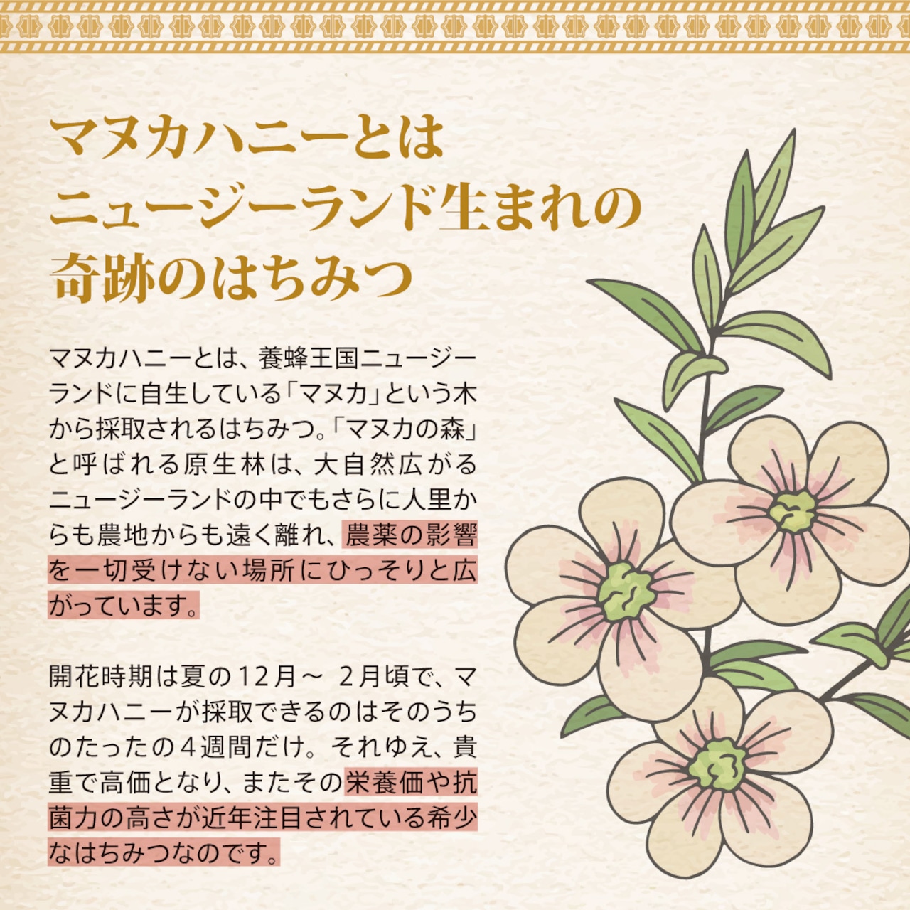 【お得な2箱セット】トゥルーハニー マヌカロゼンジ