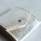 CT COIN CASE 02 SILVER