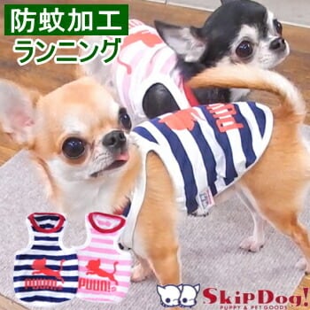 犬服 | チワワ専門店スキップドッグ！