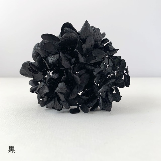 【 在庫限り 】ピラミッドあじさい　こわけ　ブラック　黒　【 OH!あじさい 】 プリザーブドフラワー　紫陽花・アジサイ
