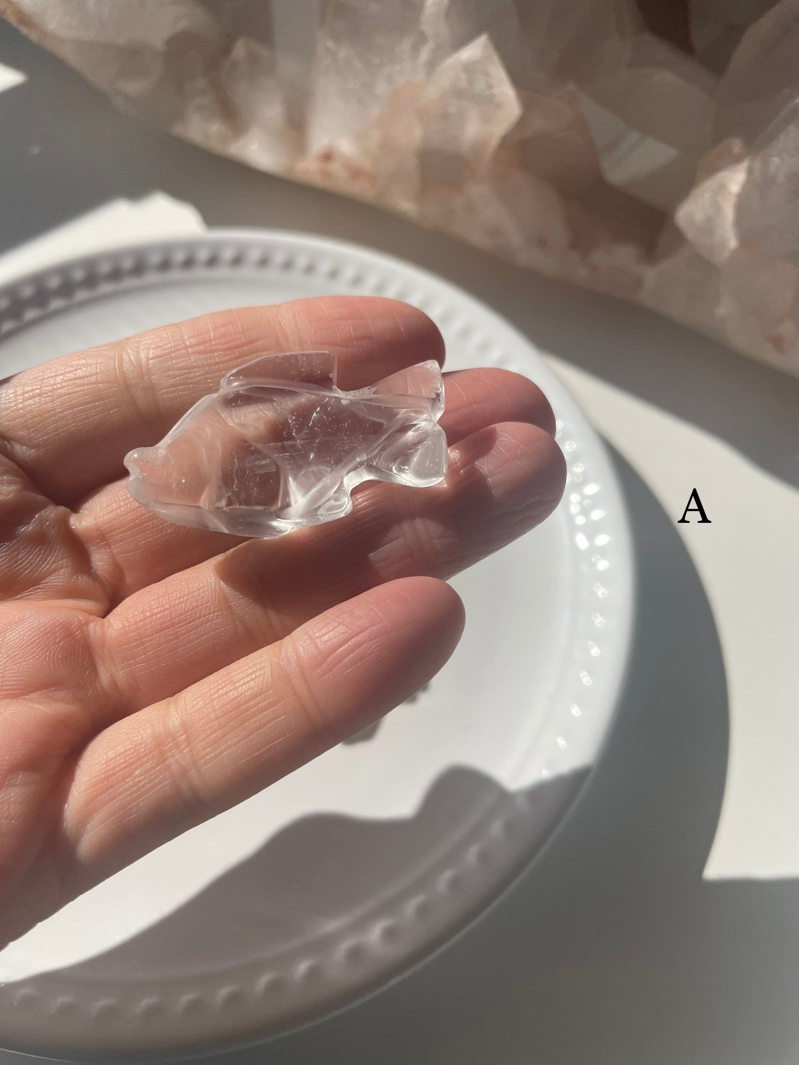 Crystal Fish / 水晶　魚