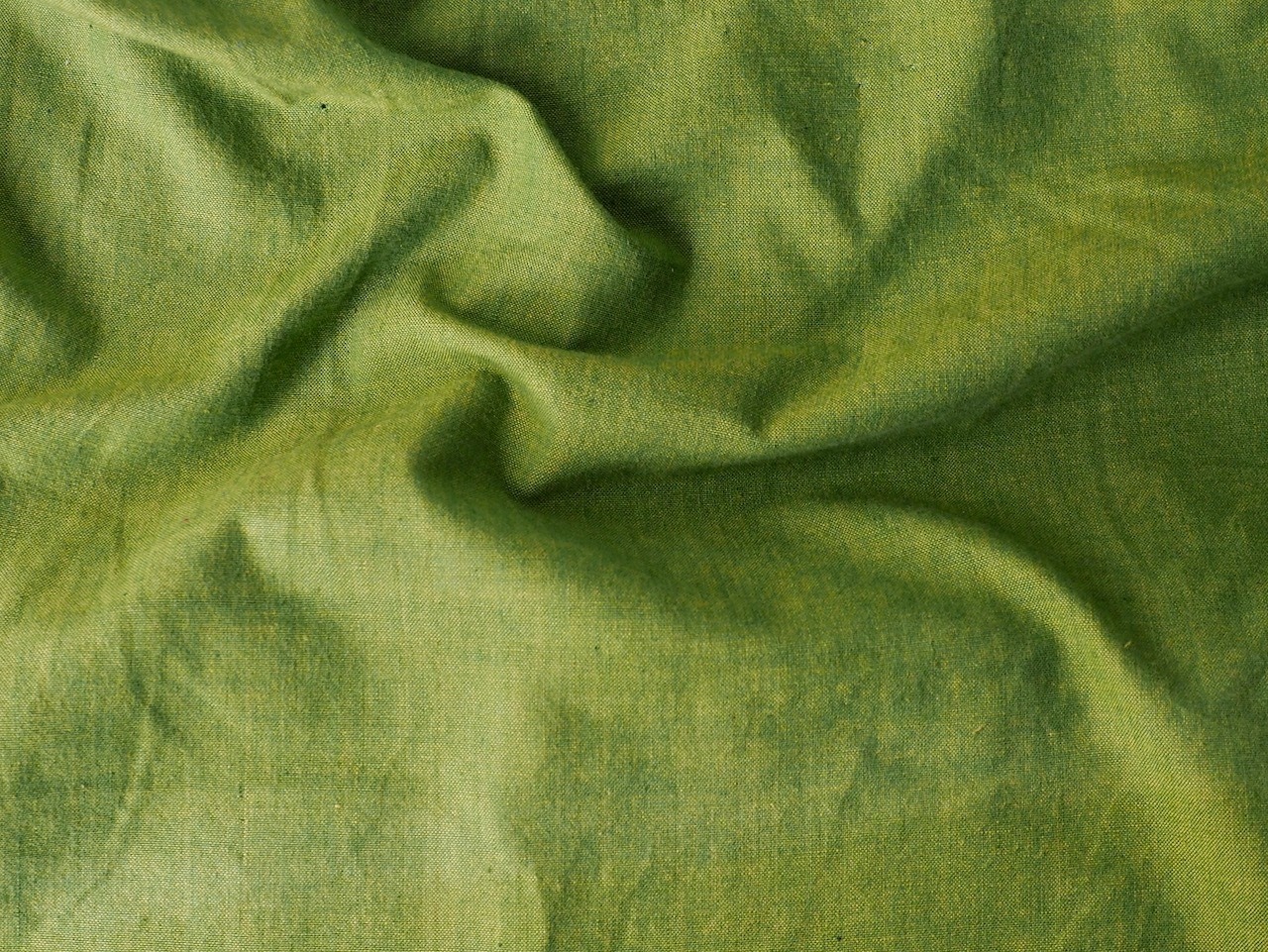 bengal fabric b49 yellow green