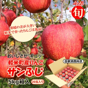 【今が旬！　軽米町産りんご】サンふじ5kg箱入り（20玉）※ご家庭消費向き（小玉）