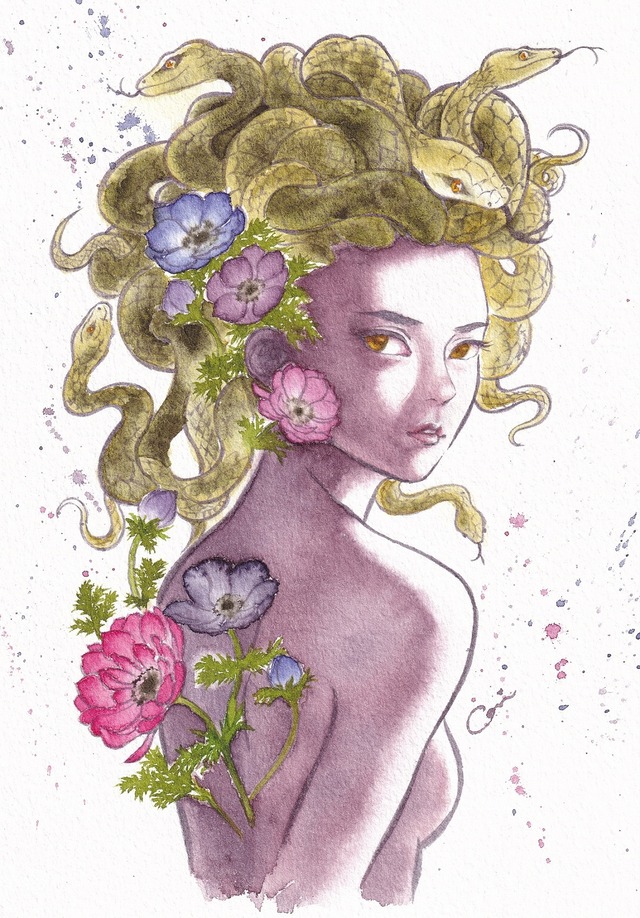 『Medusa』／コリコ