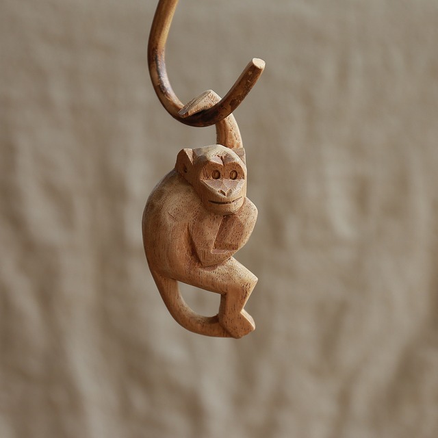 ひょうきんな猿5