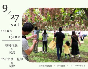 一升瓶白ワイン２本【ワイアードメンバー割】山梨クラフトワインオーナー〈収穫体験＆試食・ワイナリー見学＆試飲〉※オリジナルラベル作成可