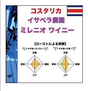 【300g】コスタリカ　イサベラ農園　ミレニオ　ワイニー