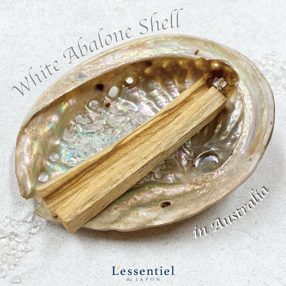 ホワイト アバロンシェル 】 両面磨き オーストラリア産 天然 高級