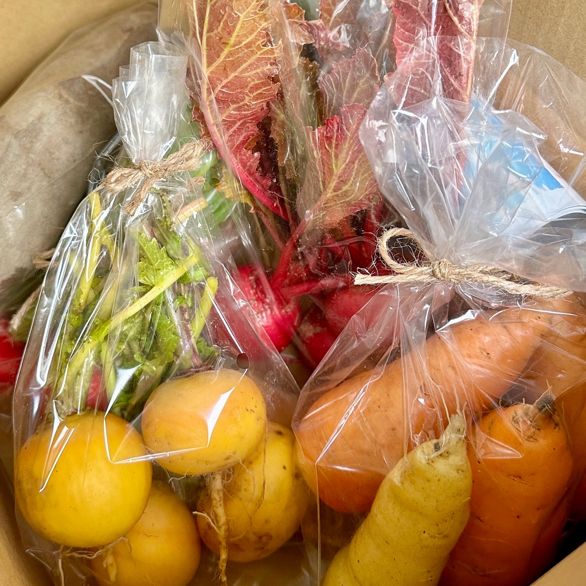 1箱お試し] 旬のお野菜セット｜yaoyam | yaoyam｜豊能町の野菜畑