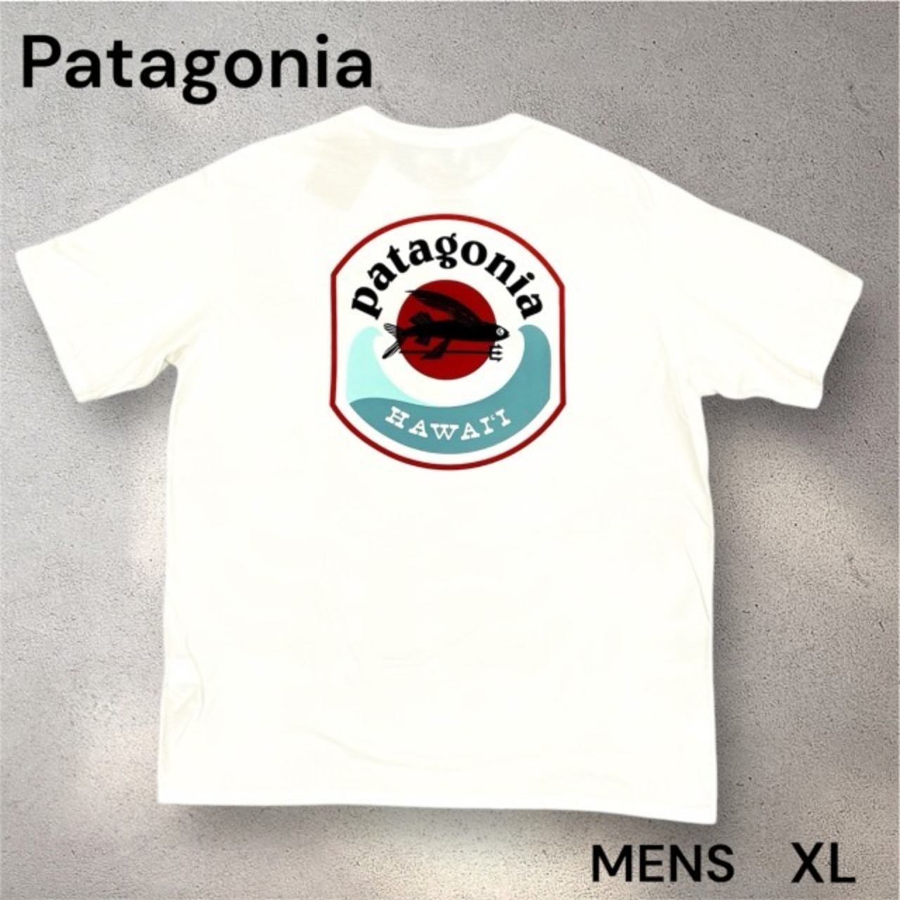 Patagonia】ハワイ限定 希少 Patagonia HAWAII メンズ Tシャツ 