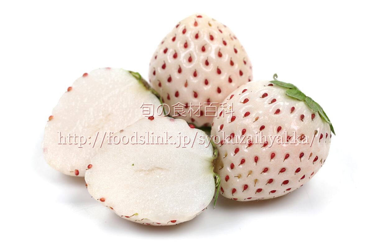 咲姫／さきひめ（いちご）Sakihime22(6720x4480) | 旬の食材百科