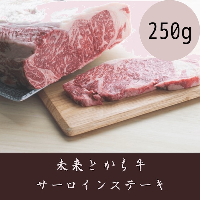 【未来とかち牛】サーロインステーキ　250g 冷凍品