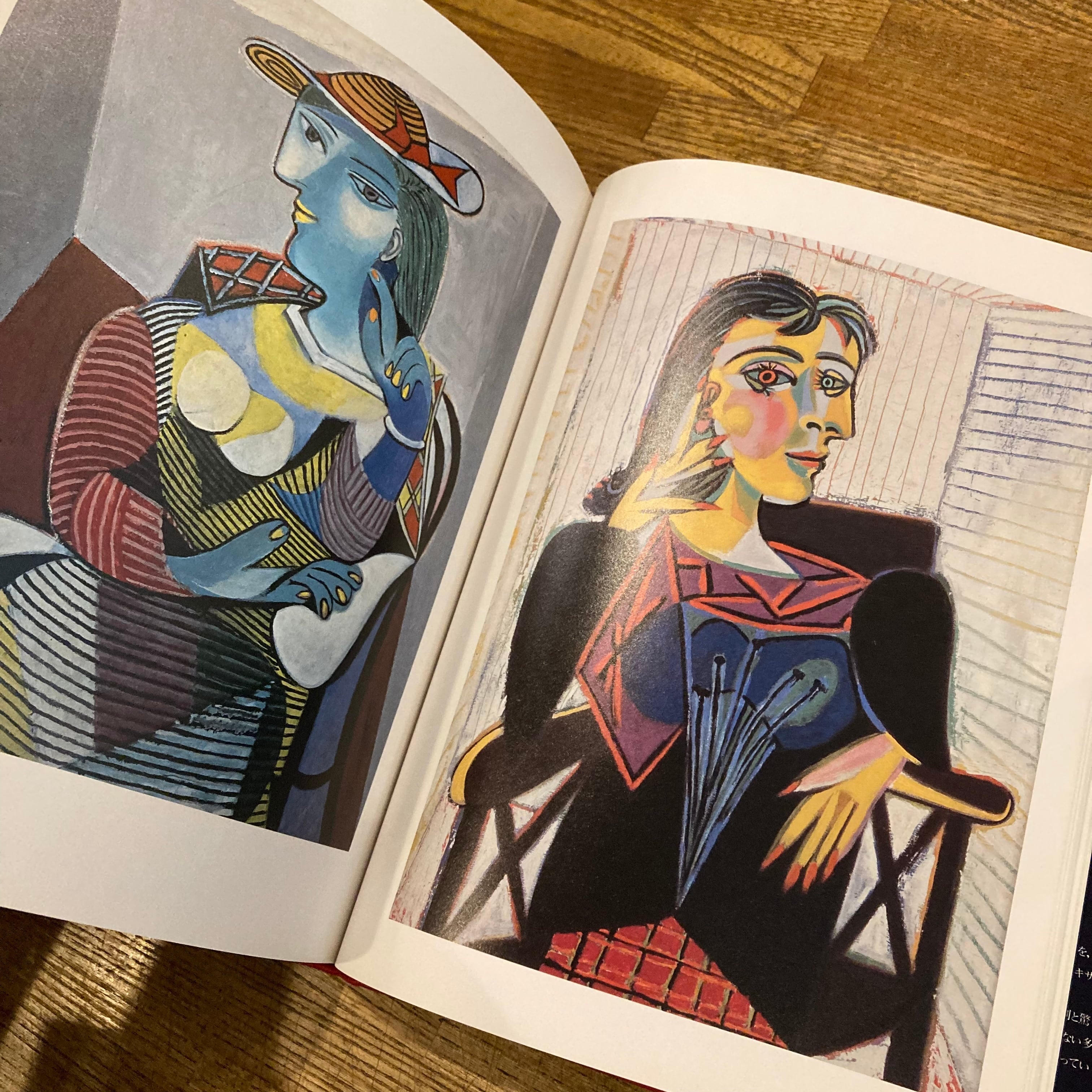 本 【大型インテリア本】PICASSO 青の時代とドーラ・マールの生活