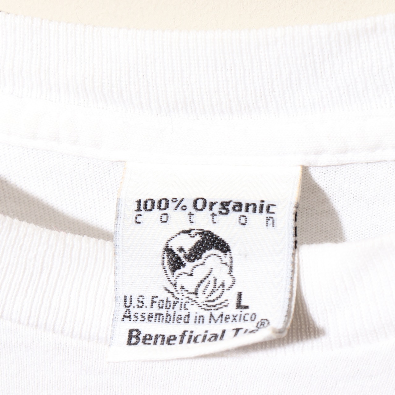 極美品 L Patagonia トーテムポール Beneficial T’s パタゴニア Tシャツ 白 ホワイト