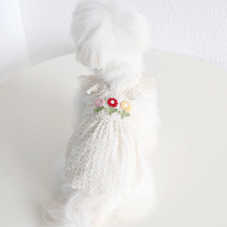 ドッグ 犬 小型犬 服カテゴリ ドッグウェア 室内着 ワンピース お花 刺繍 かわいい きれいめ シンプル カジュアル 上品 おしゃれ レトロ 主役級 存在感 ラブリー キュート フェアリー 都会的 シンプル 無地 春 夏 女の子 成犬 スクール デート お出かけ パーティー イベント レストラン 公園 休日 バカンス カフェ 朝 散歩 ウォーキング 室内 普段使い トレンド 流行 インスタ映え 定番 XS S M L XL 白 ホワイト