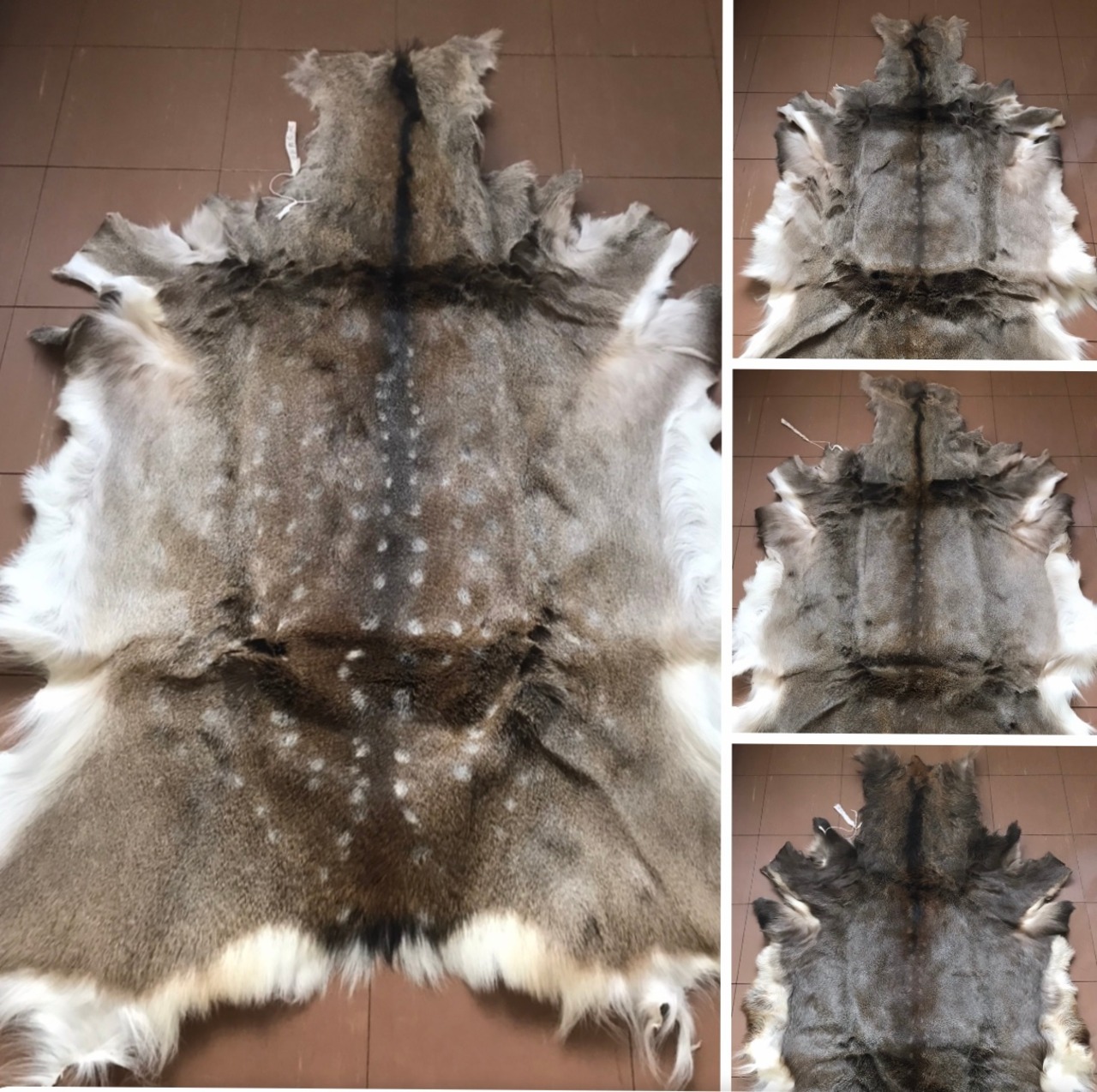 エゾシカ毛皮 北海道特産 蝦夷鹿革 冬毛鹿皮 優良美品 | NPO法人北海道 