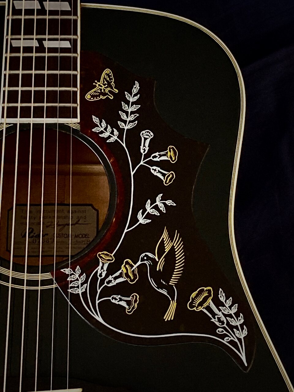Rider J-300HB by HAYASHI Hummingbird Ebony 1977