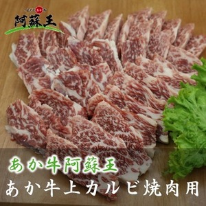 熊本県産あか牛阿蘇王　上カルビ焼肉用(100g)