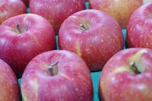 ふじ ５ｋｇ家庭用