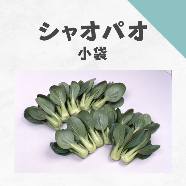 シャオパオ　中国野菜種子・小袋